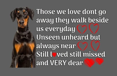 Doberman memorial poem - memorial,