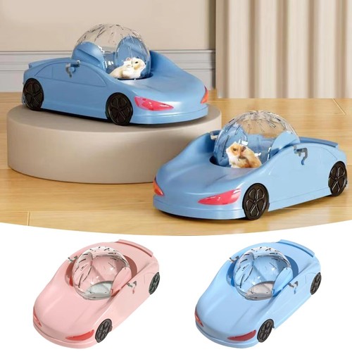 Transparent hamster sport - sport, ball