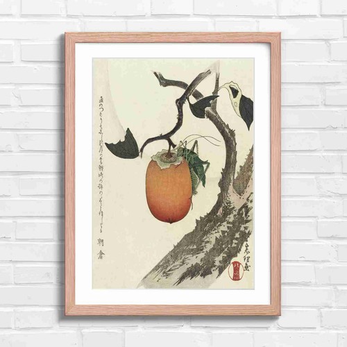 Vintage japanese cricket - vintage, on