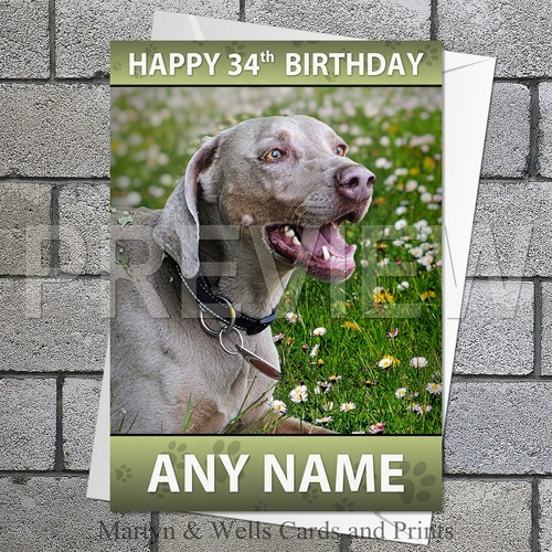 Weimaraner birthday card 5x7 - birthday, card.
