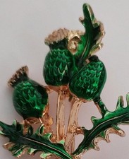 Scottish Thistle Golden