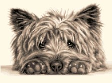 CAIRN TERRIER dog - complete counted cross stitch kit *Jann Designs