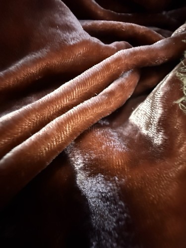 Silk velvet fabric long x - silk,