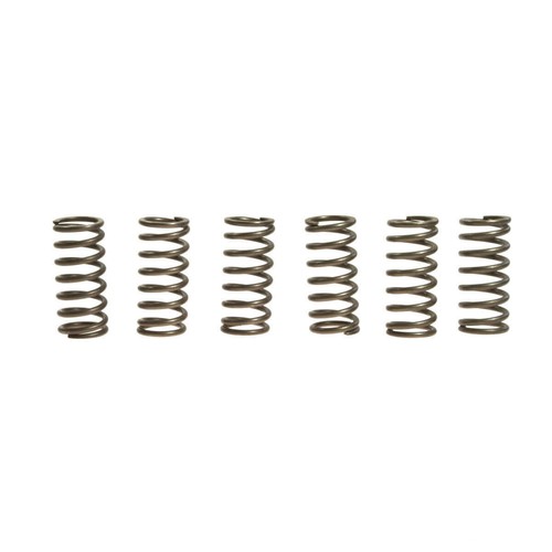 Ebc clutch springs rinf - 6, rinf.