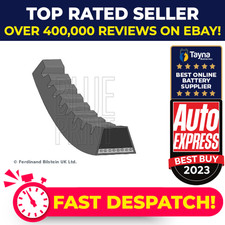 Drive Belt fits NISSAN TERRANO