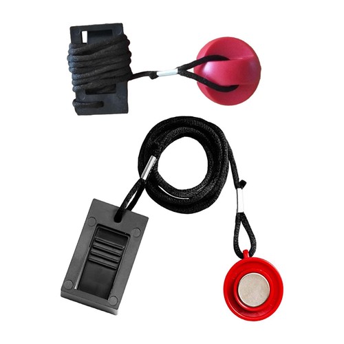 Magnet security switch - magnet,
