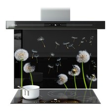Kitchen Glass Splashback Toughened Tile Cooker ANY SIZE Dandelion Flower WxH