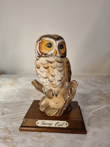 Leonardo collection tawny owl - leonardo,