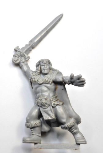 Warhammer quest barbarian - quest, hero