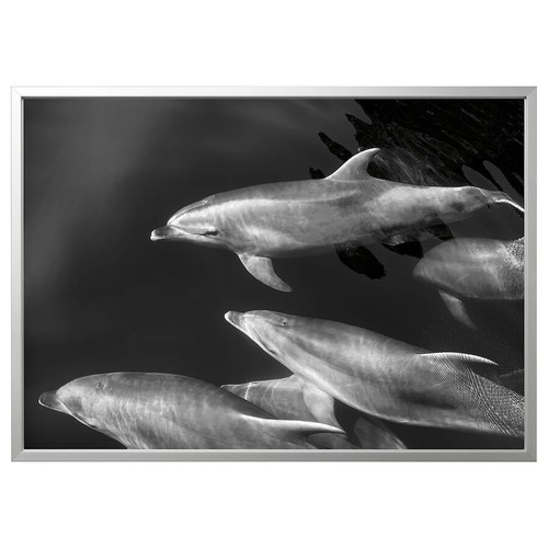 Ikea bjorksta dolphins - dolphins, large