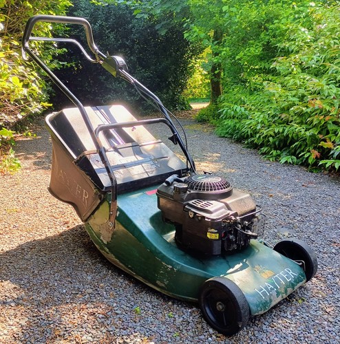 Hayter harrier type - harrier,