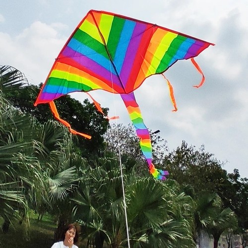 Rainbow kite with long - rainbow,