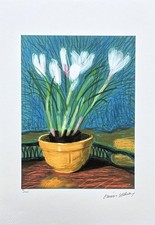 DAVID HOCKNEY - White Crocuses