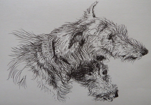 Pen ink line drawing after - ink,