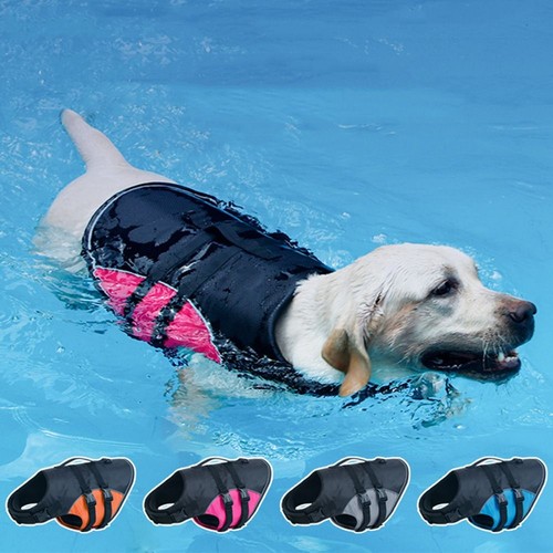 Adjustable dog life jacket - dog,