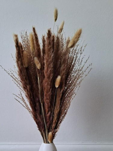 Dried natural pampas - dried,