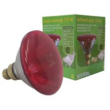 INFRA RED HEAT BULB LAMP RUBY