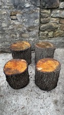Tree Stumps/ seats / Stools /