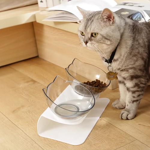 Double bowls feeder pet cat - bowls,