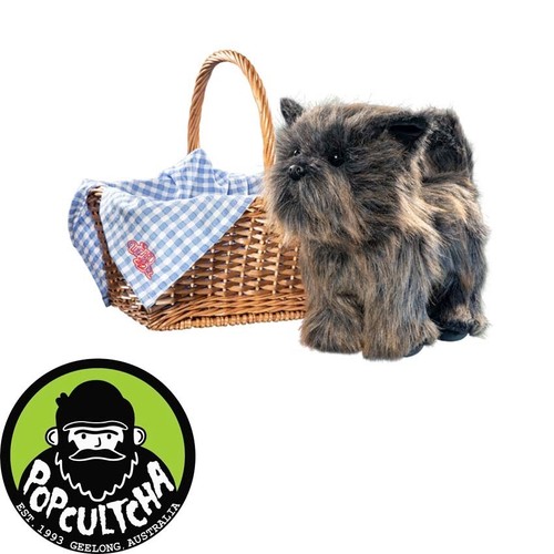 Wizard toto basket - toto,