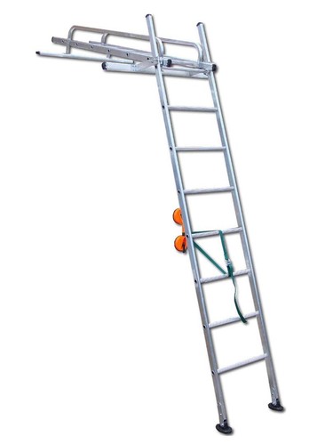 Conservatory roof ladder - roof,