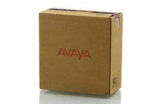 Avaya DECT ISDN Universal RBS W/EXTL ANTNA - DECT Repeater - 700503192