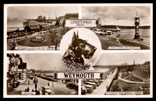 Postcard rppc scottish terrier - postcard,