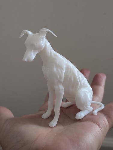 Greyhound lurcher whippet home - lurcher,