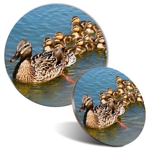 Mouse mat coaster set - mouse,
