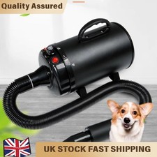 3800W Dog Hair Dryer Pet