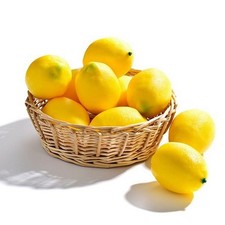 Artificial Fruits Home Decor Fake Limes Lemon Ornament Food Photography Props CN