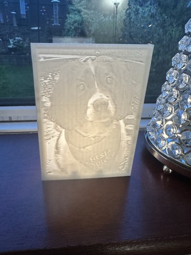 Custom lithophane photo - photo, light