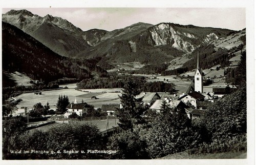 Forest pinzgau postcard - forest, in