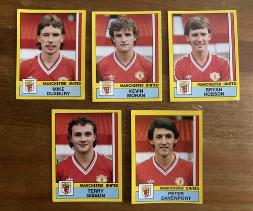 Manchester united panini - manchester,