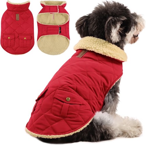 Queenmore whippet coat - queenmore,