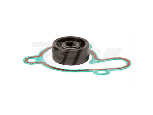 46110 water pump repair