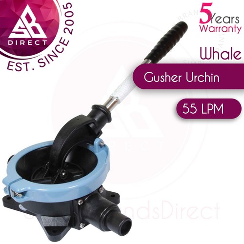 Whale gusher urchin - whale,