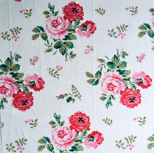 63cm 73cm wide cath - x,