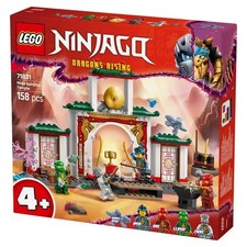 LEGO NINJAGO Dragons Rising