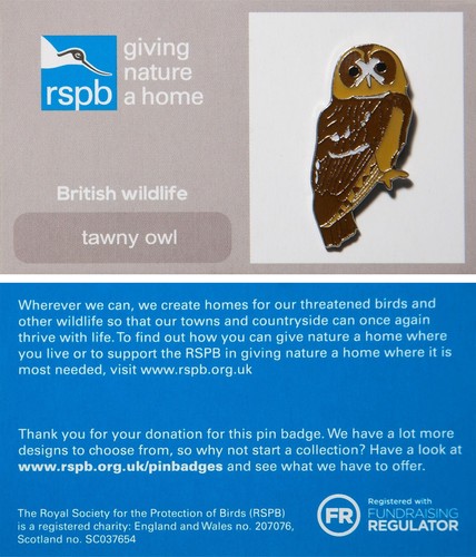 Rspb pin badge gnah - rspb, owl