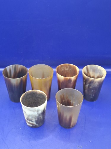 Viking drinking horn shot - drinking,