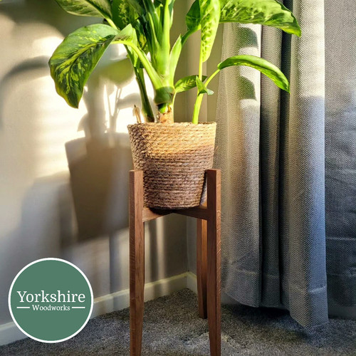 5cm wide oak plant - wide,