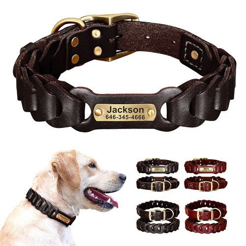 Personalised dog collar - dog,