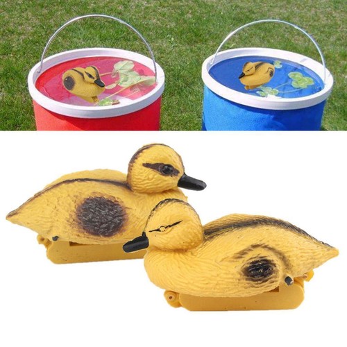 Floating duck ducklings fish - ducklings,