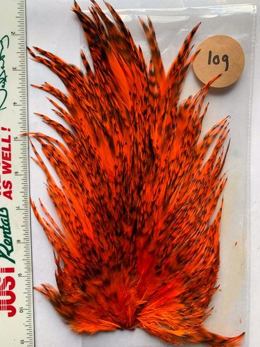 Fly tying cock cape - , top