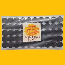 Self-Healing Injection Ports