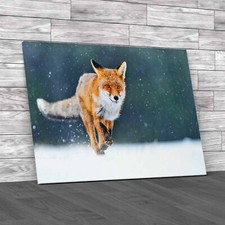 Fox Hunting In Snow Wildlife