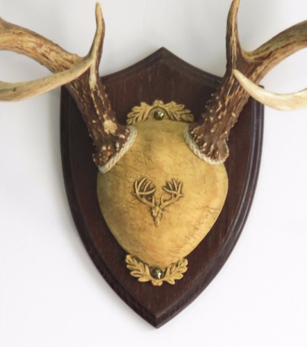 Dark oak ultimate antler - ultimate,