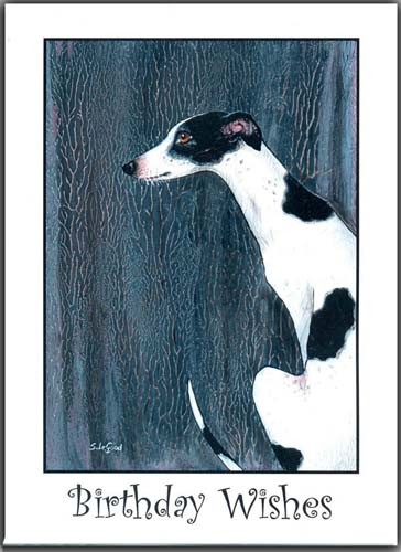 White black greyhound - black,