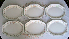 Johnson Brothers Eternal Beau steak plate serving platter set 6 immaculate 12"x9